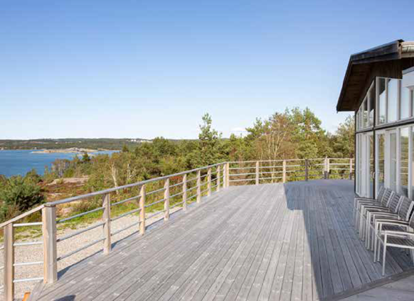 Havsörnen