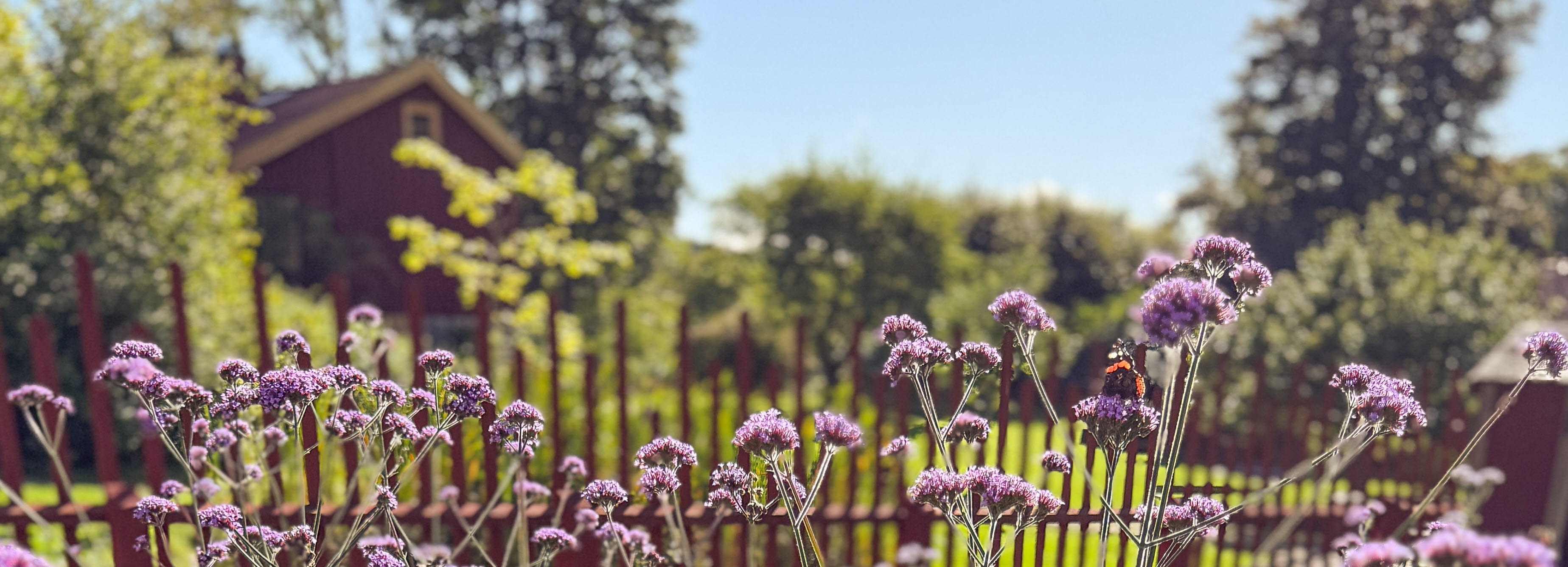 Höst i trädgården på sundsby säteri