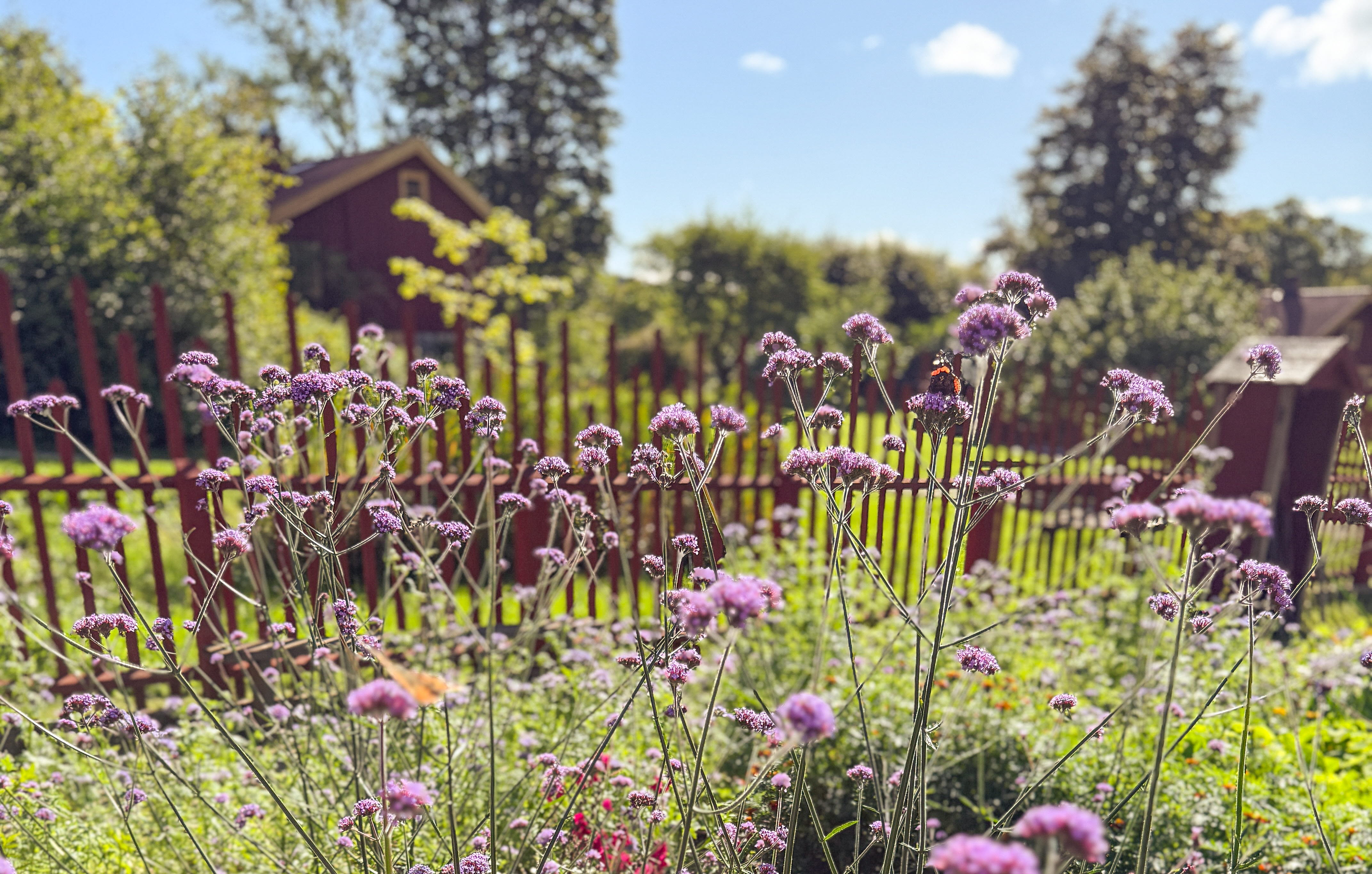 The garden at sundsby säteri