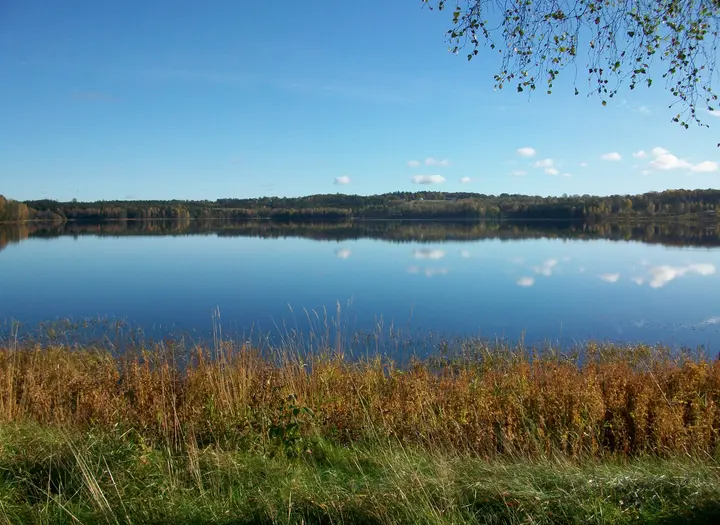 Dalstorpasjön FVO