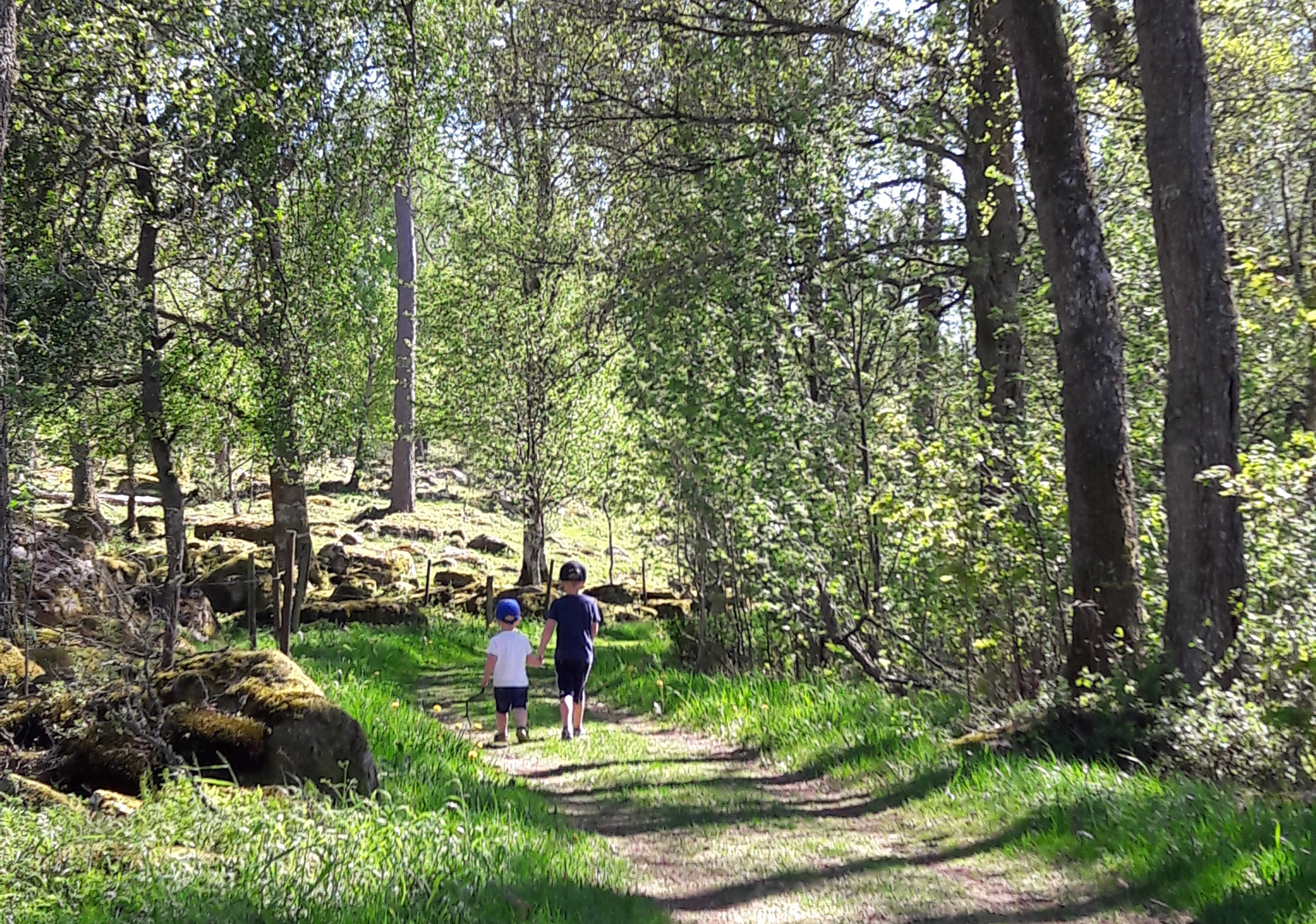 Små barn på promenad genom ett vårligt Hofsnäs