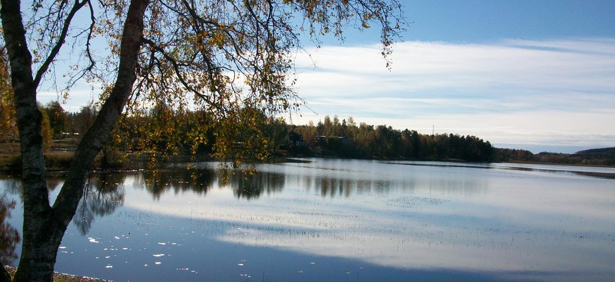Badplats Tranemosjön