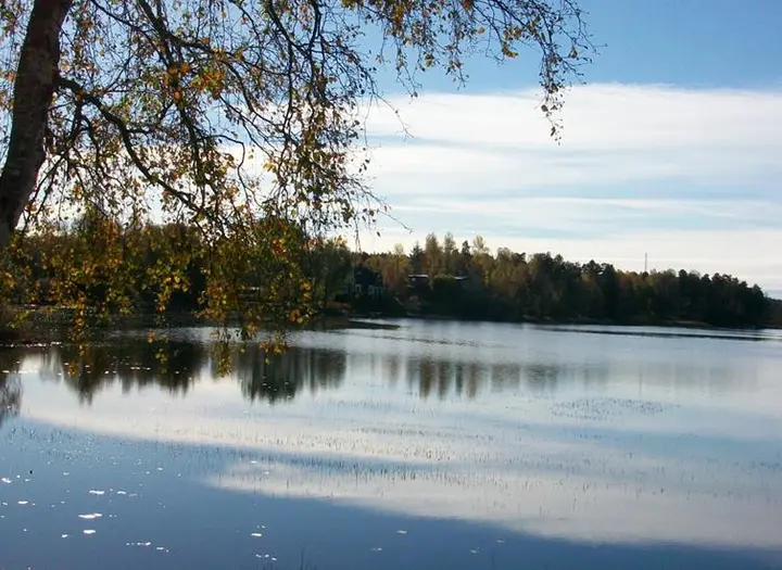 Tranemosjön