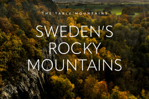 Forest-covered mountains