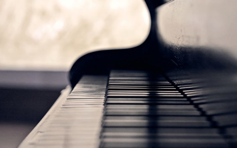 Wild Horse Music