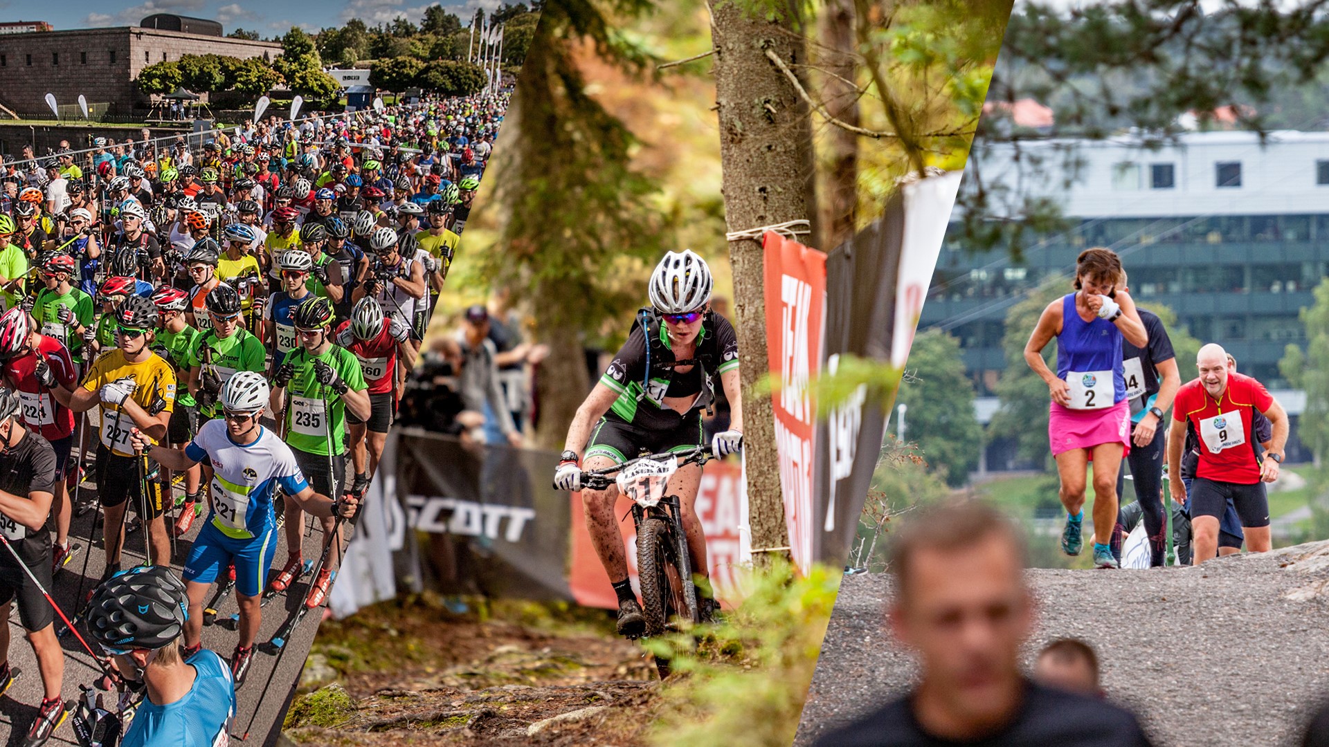 Alliansloppet Action Week