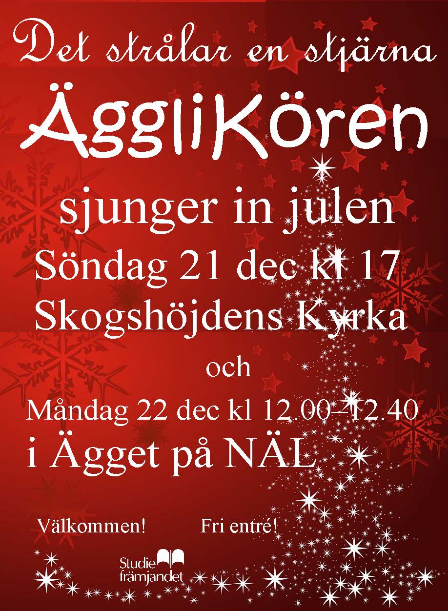 Det strålar en stjärna