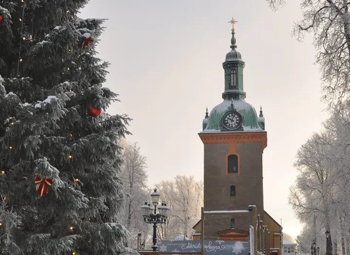 Svenska Kyrkan Vänersborg och Väne-Ryrs församling