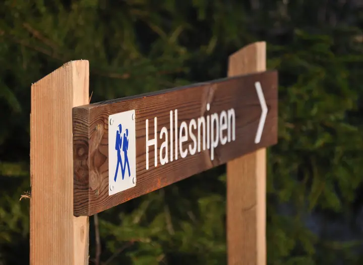 Hallesnipen