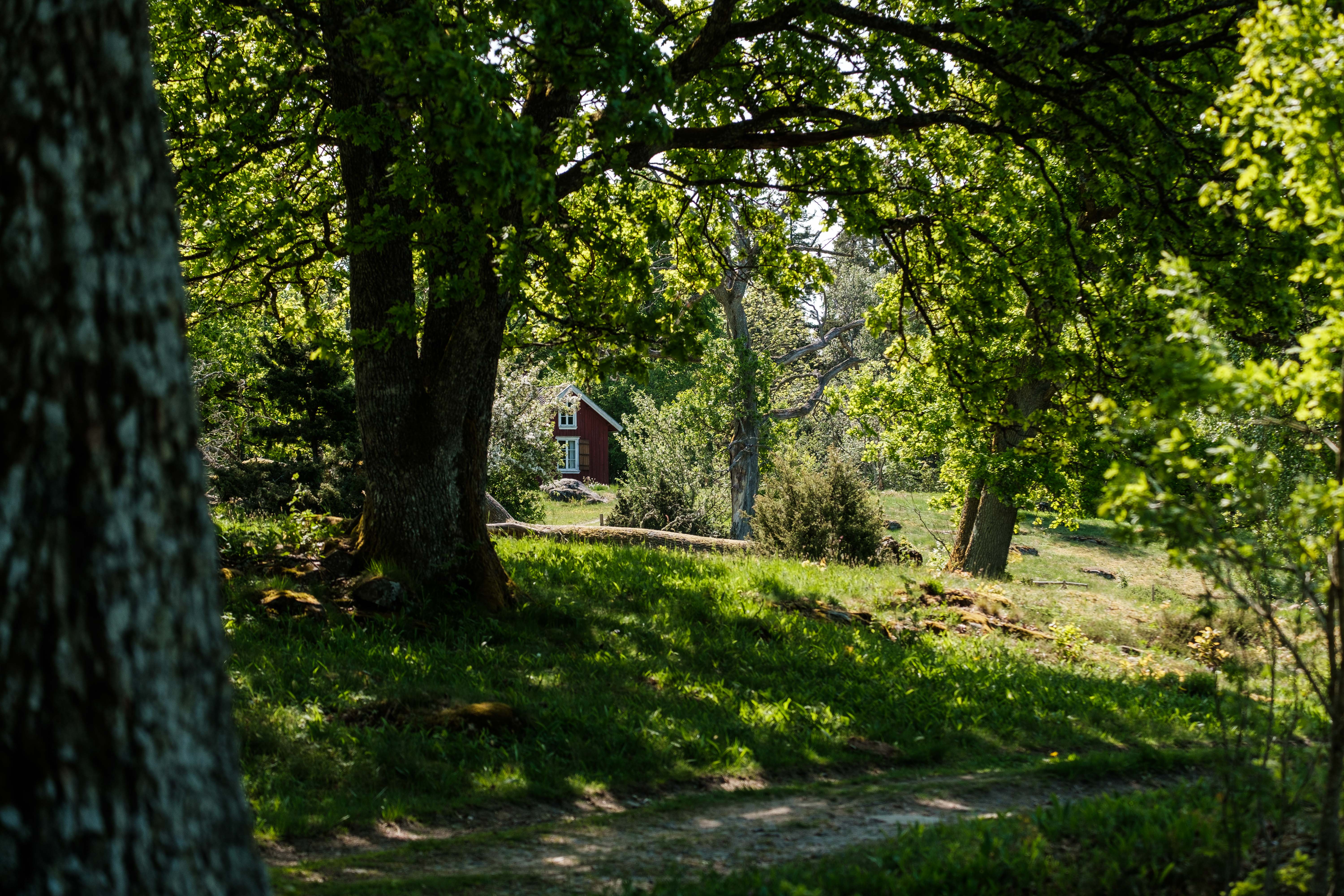 Naturskyddsföreningens torp Grinnsjö, Hunneberg