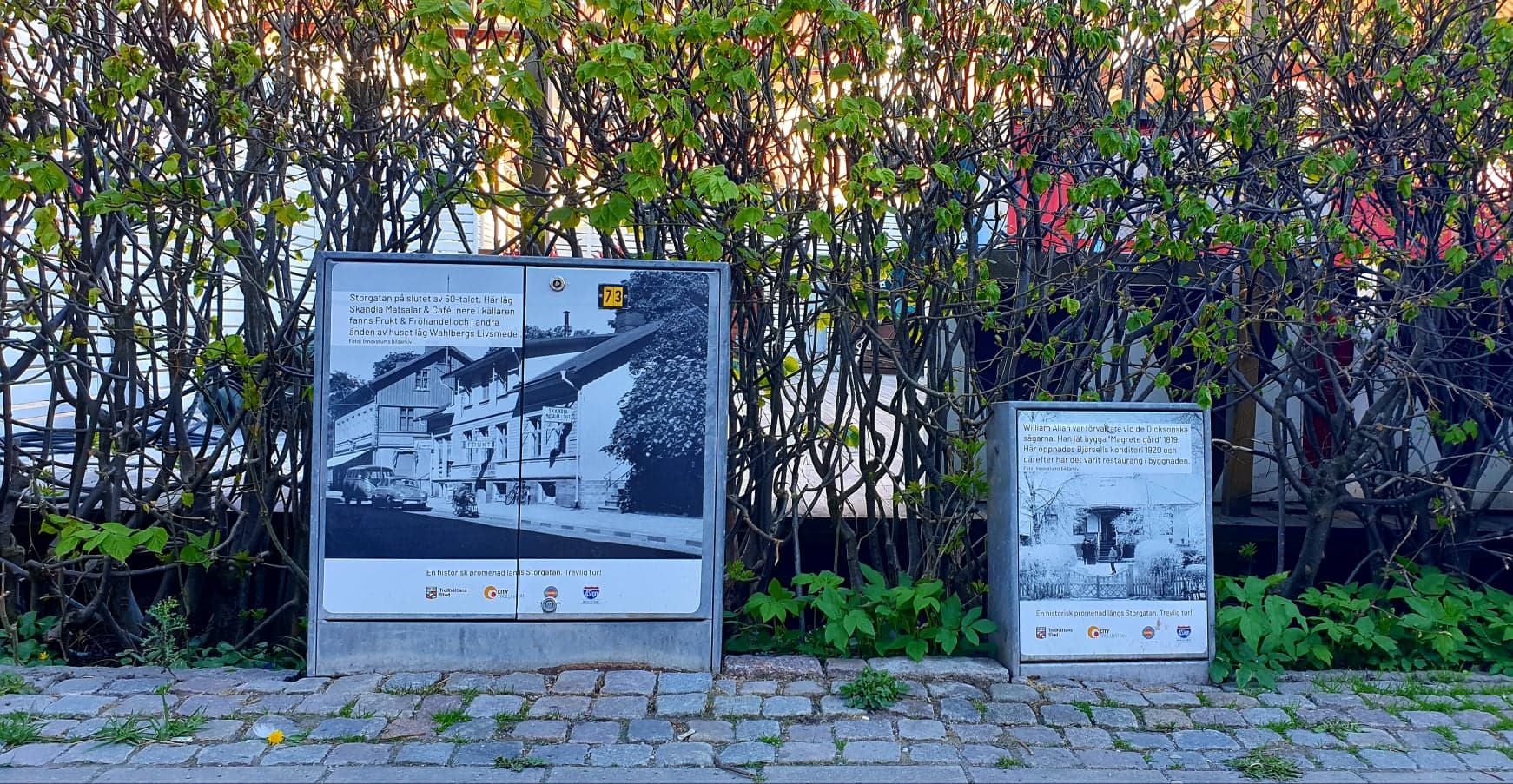 Elskåpskonst