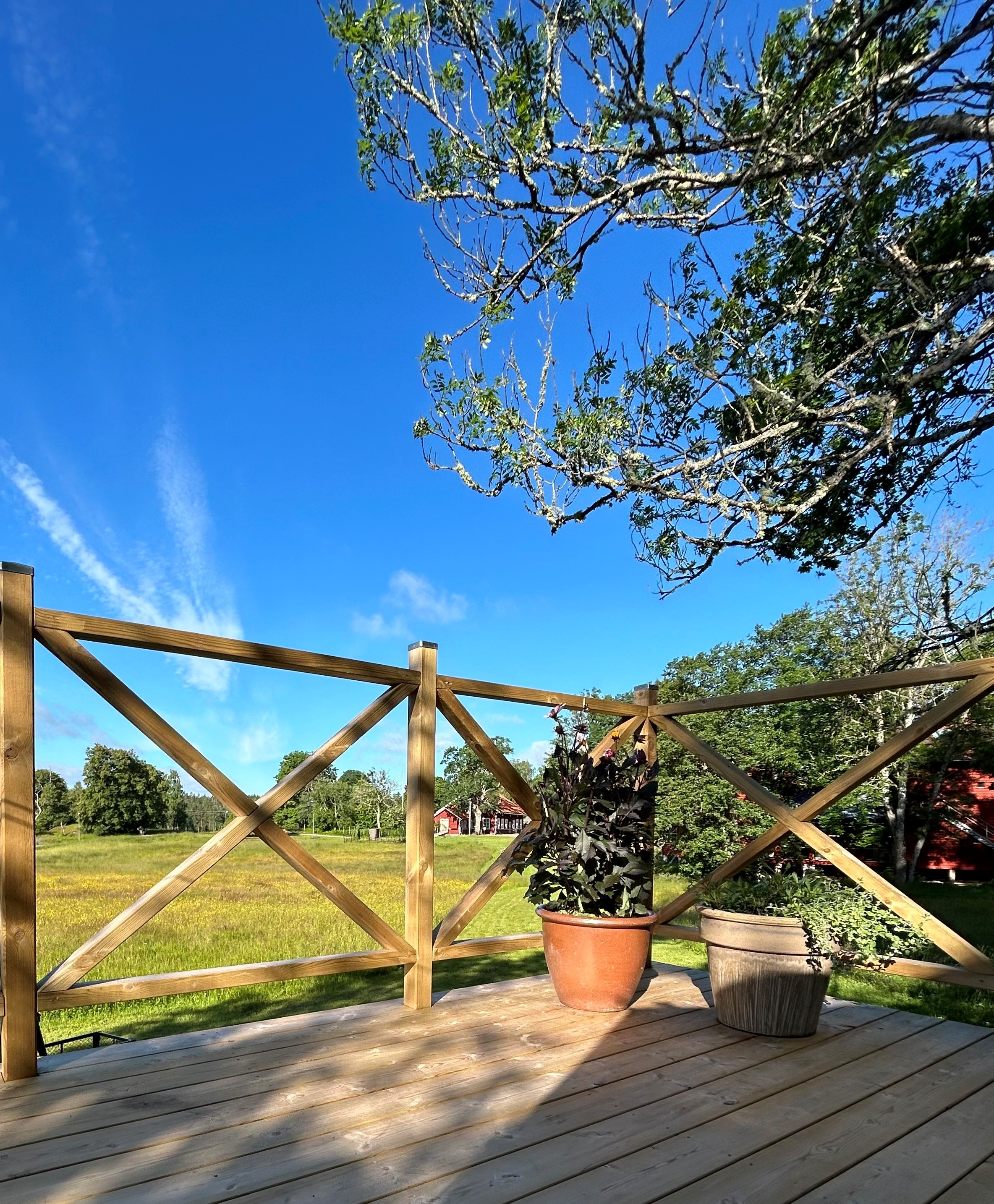 Trädäck med dekorationer med äng som utsikt