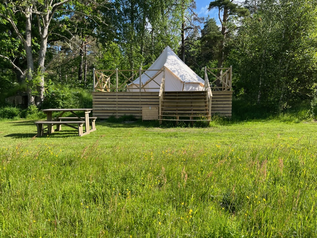 glampingtält på en äng vid skogen