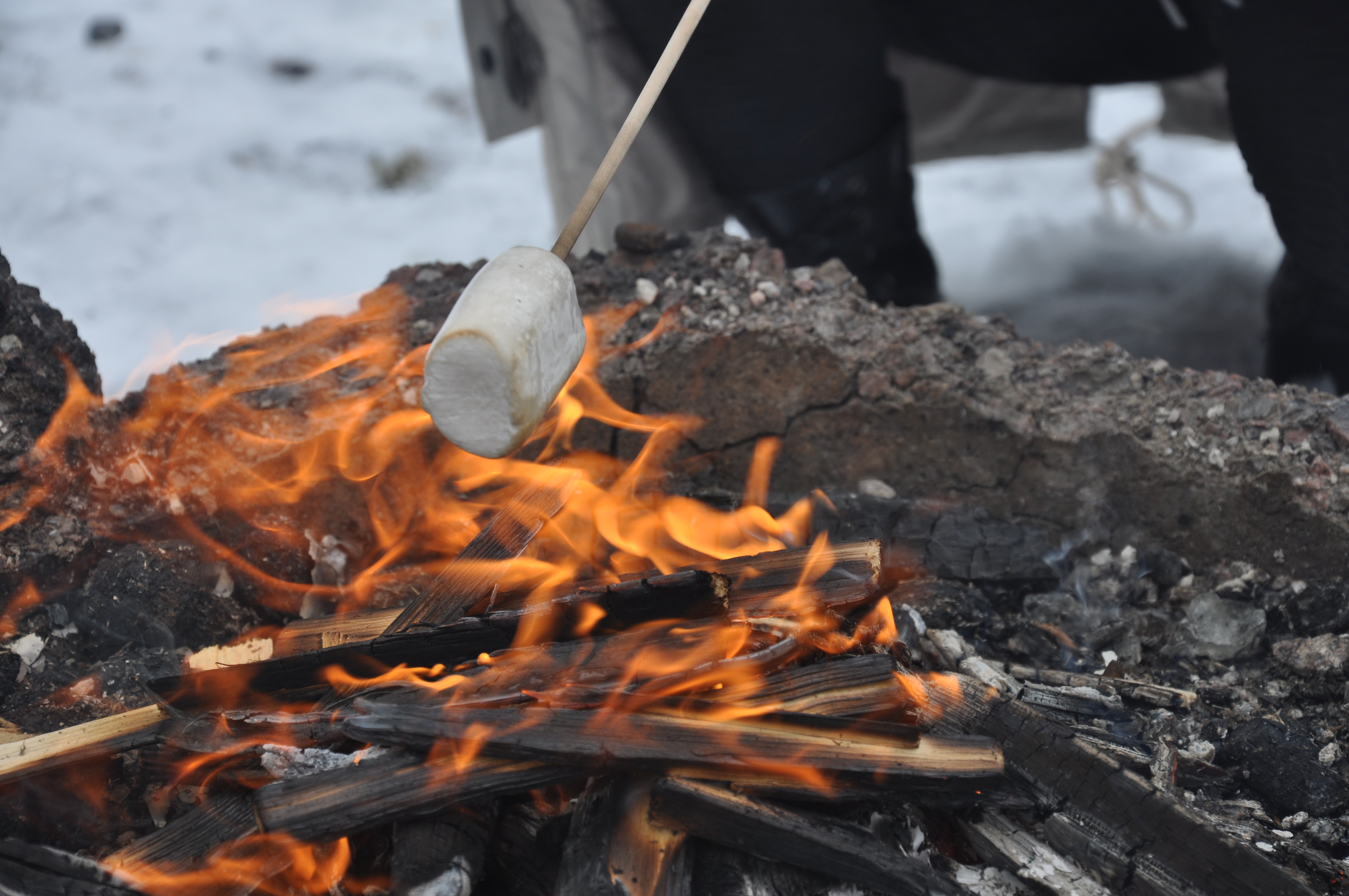 Grillning av marshmallows vid en öppen brasa