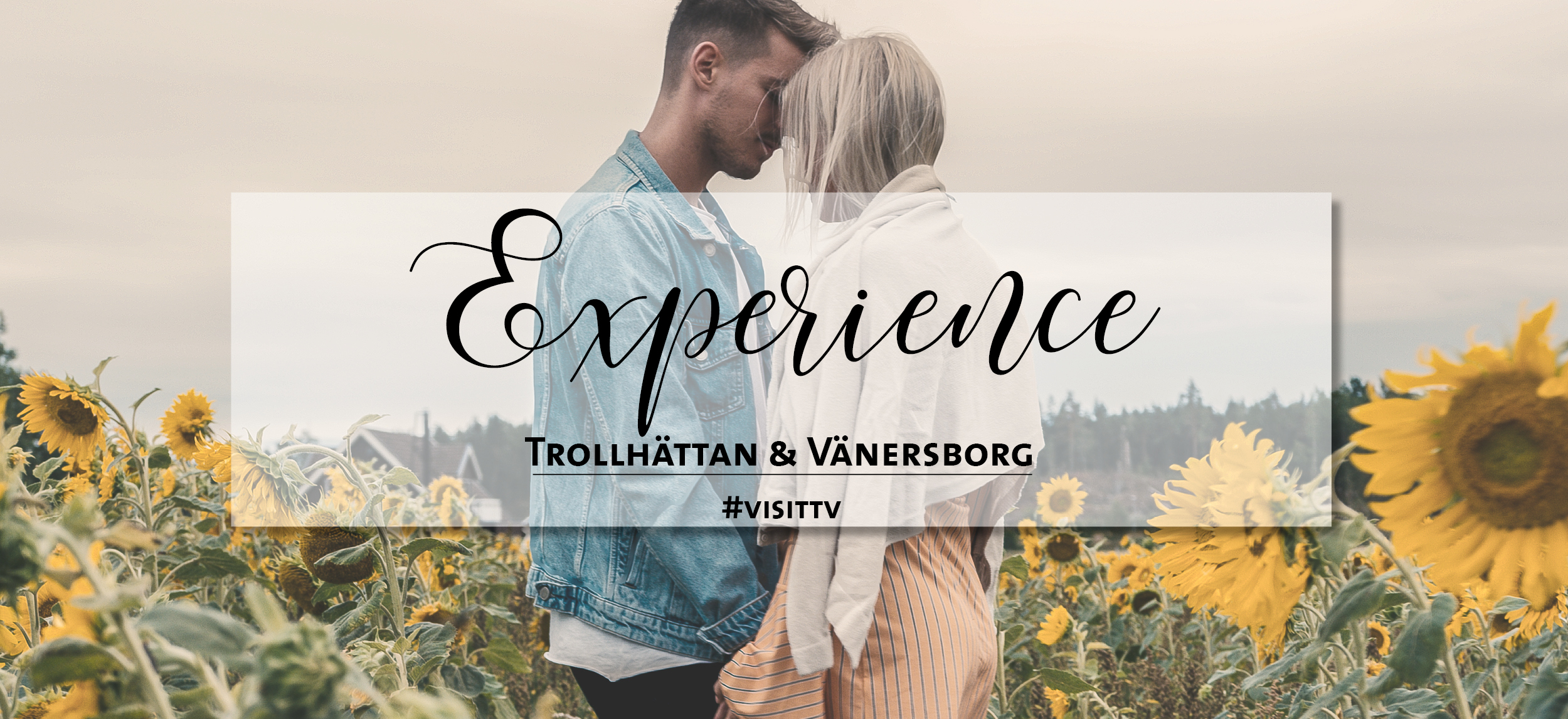 Couple standing together on a field of sunflowers.