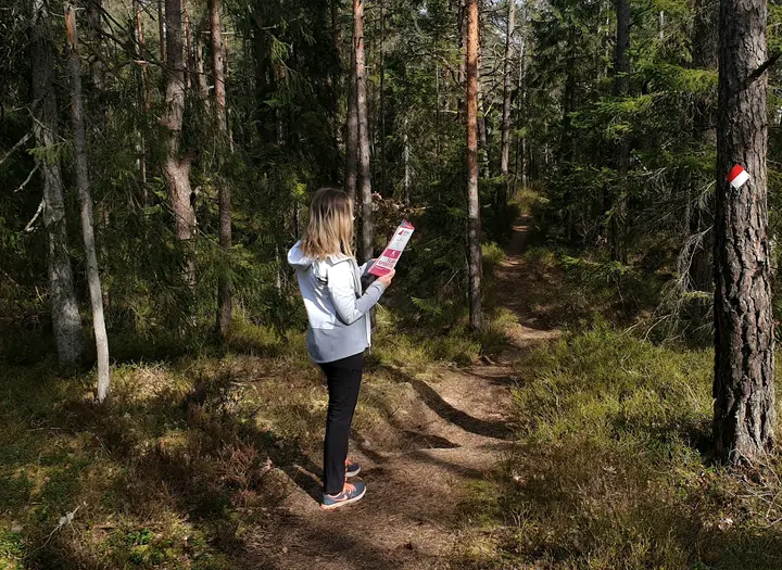 Hittaut Trollhättan