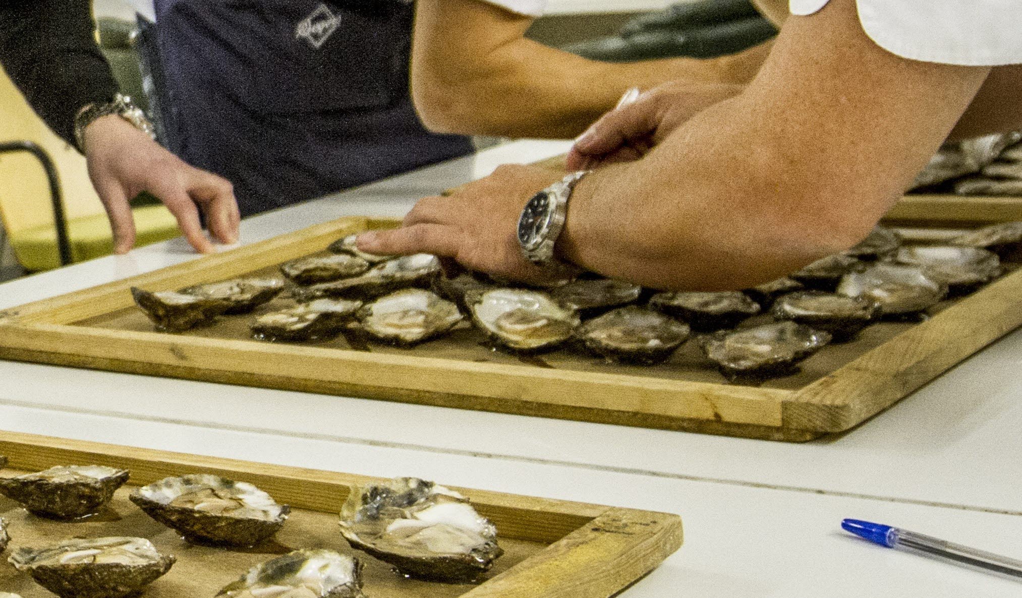 Trays of oysters
