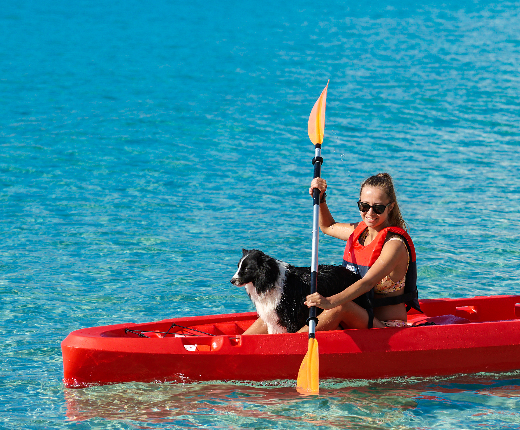 hund och kvinna paddlar i en kajak