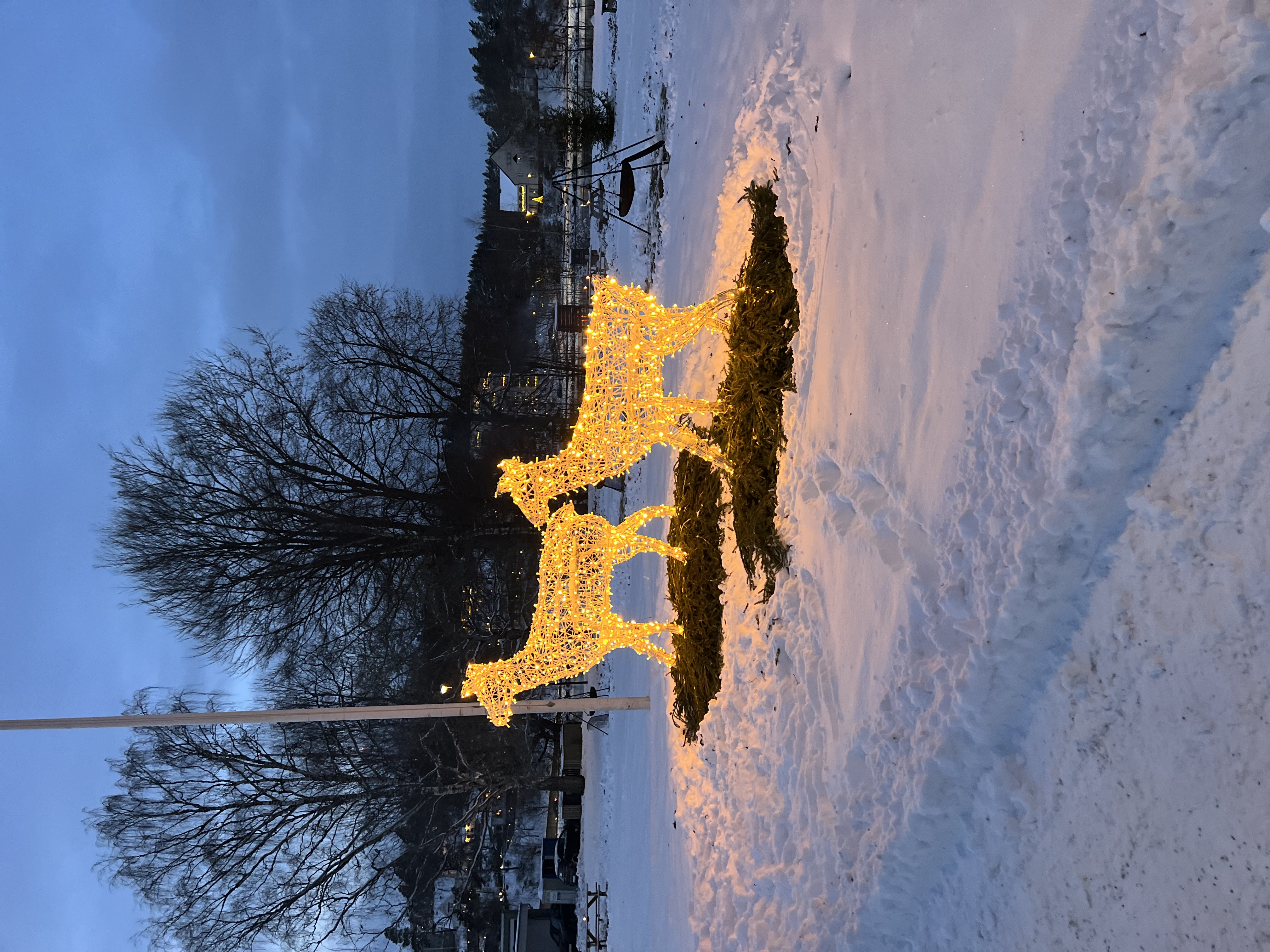 Två renar gjorda av julljus