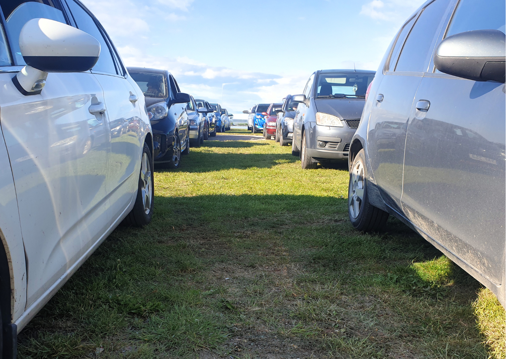 bilar står på led på gräsmatta