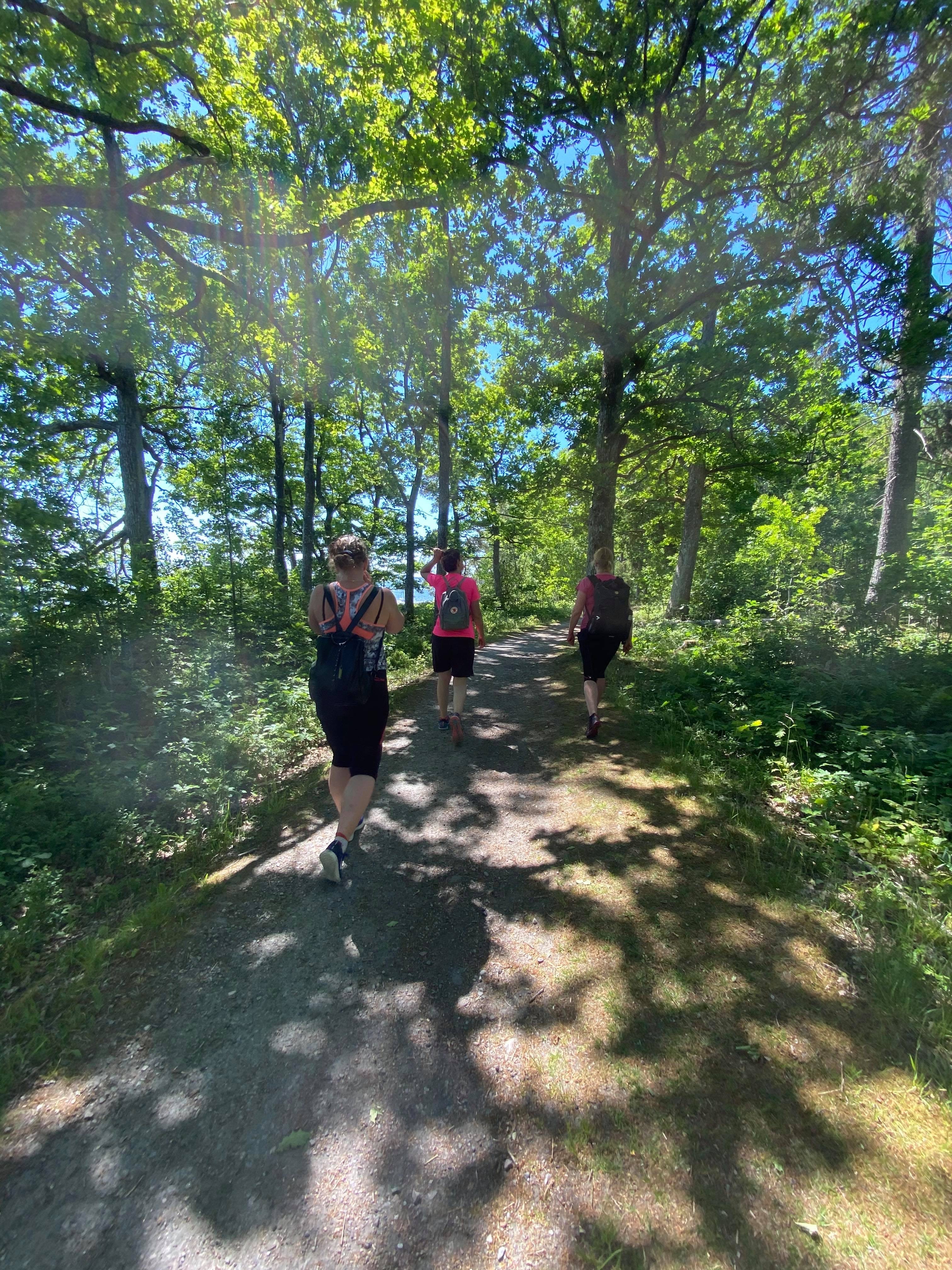Personer promenerar längs skogsväg