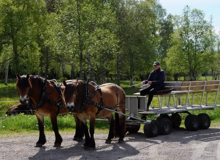 Nordsvenska upplevelser