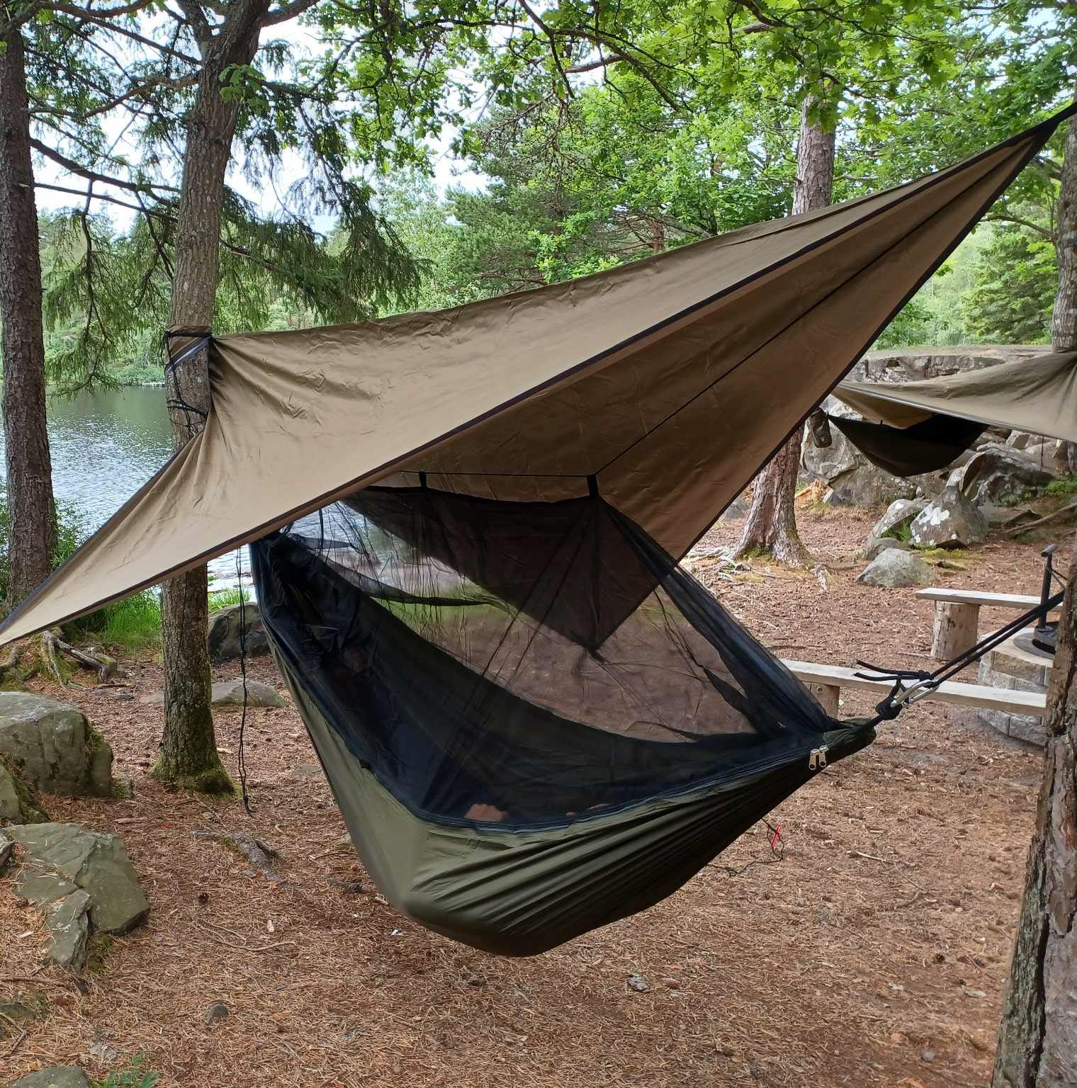 hängmattetält uppsatt mellan träd