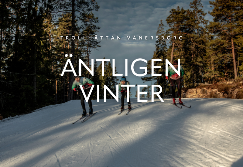 Tre personer åker skidor i vinterlandskap