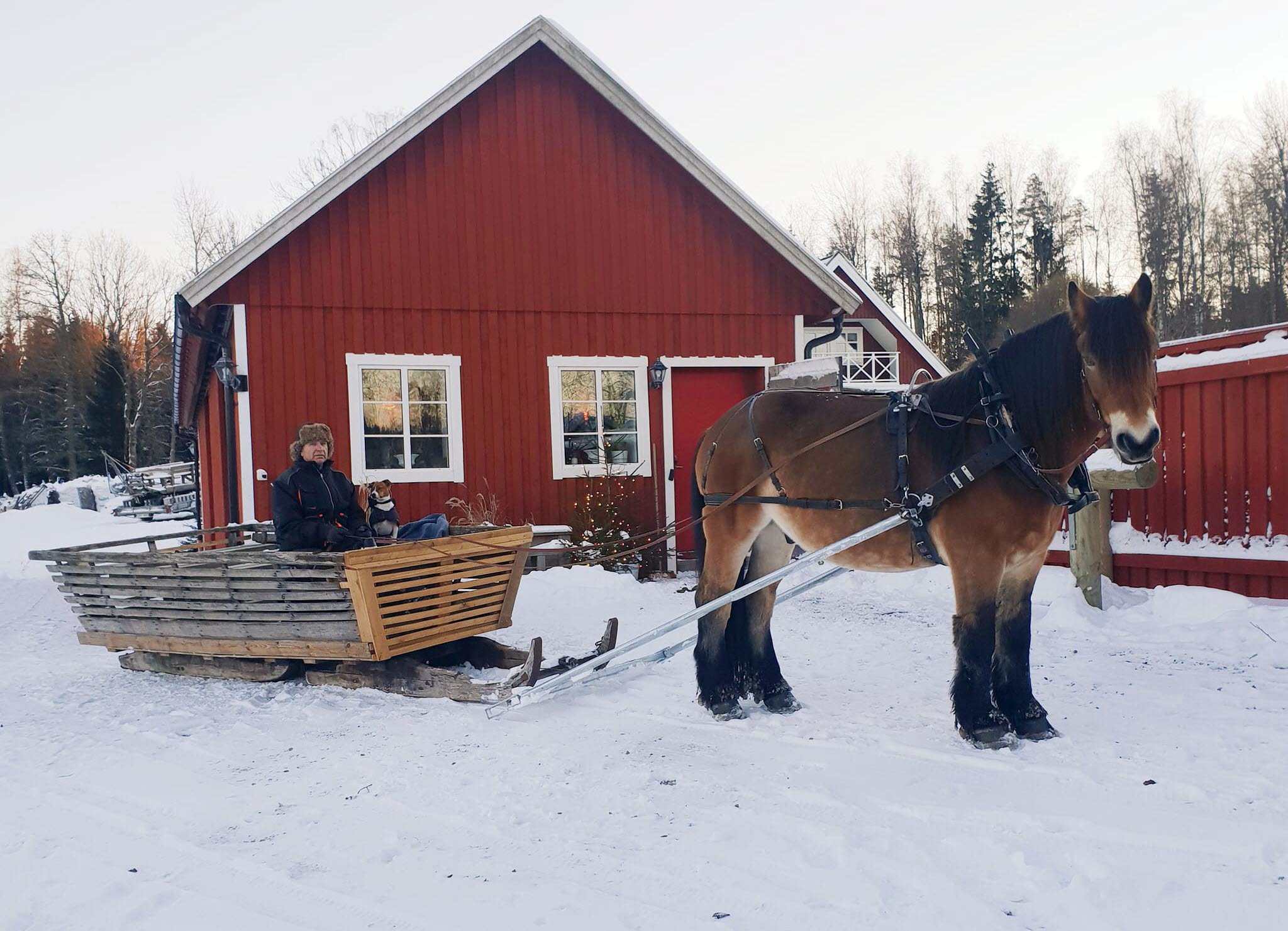 Slädtur med Nordsvenska upplevelser