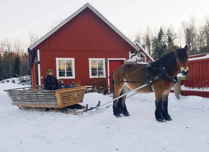 Slädtur med Nordsvenska upplevelser