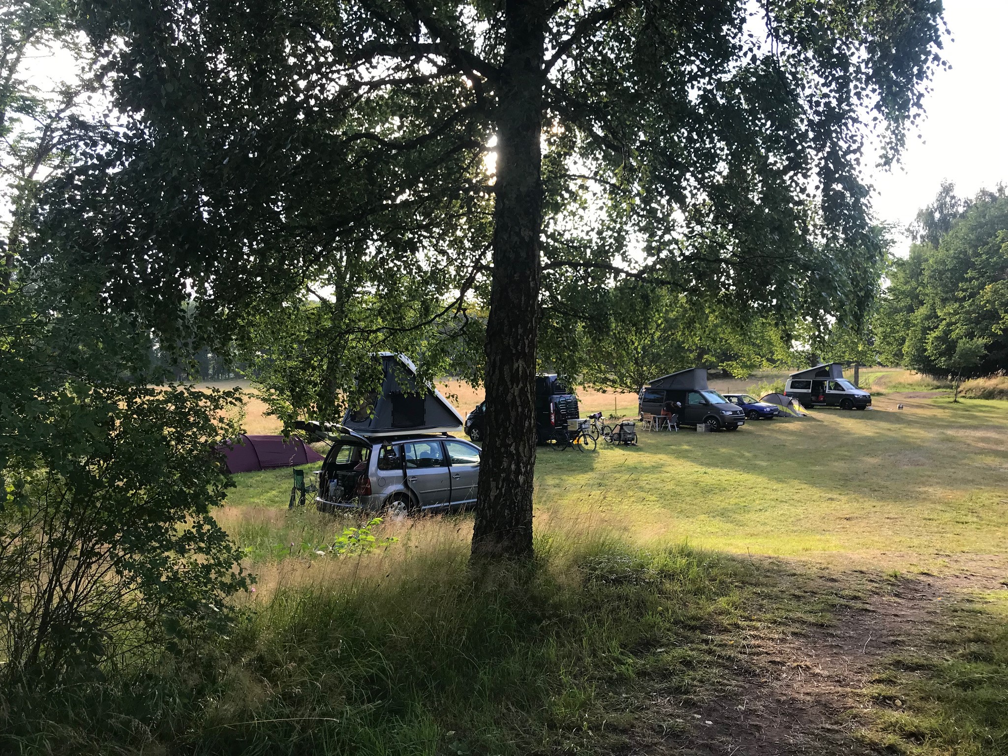 bilar med tält står på grönyta
