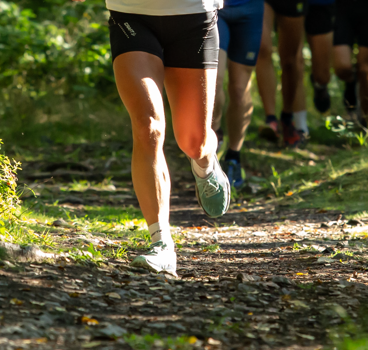 Personer som springer i skogen