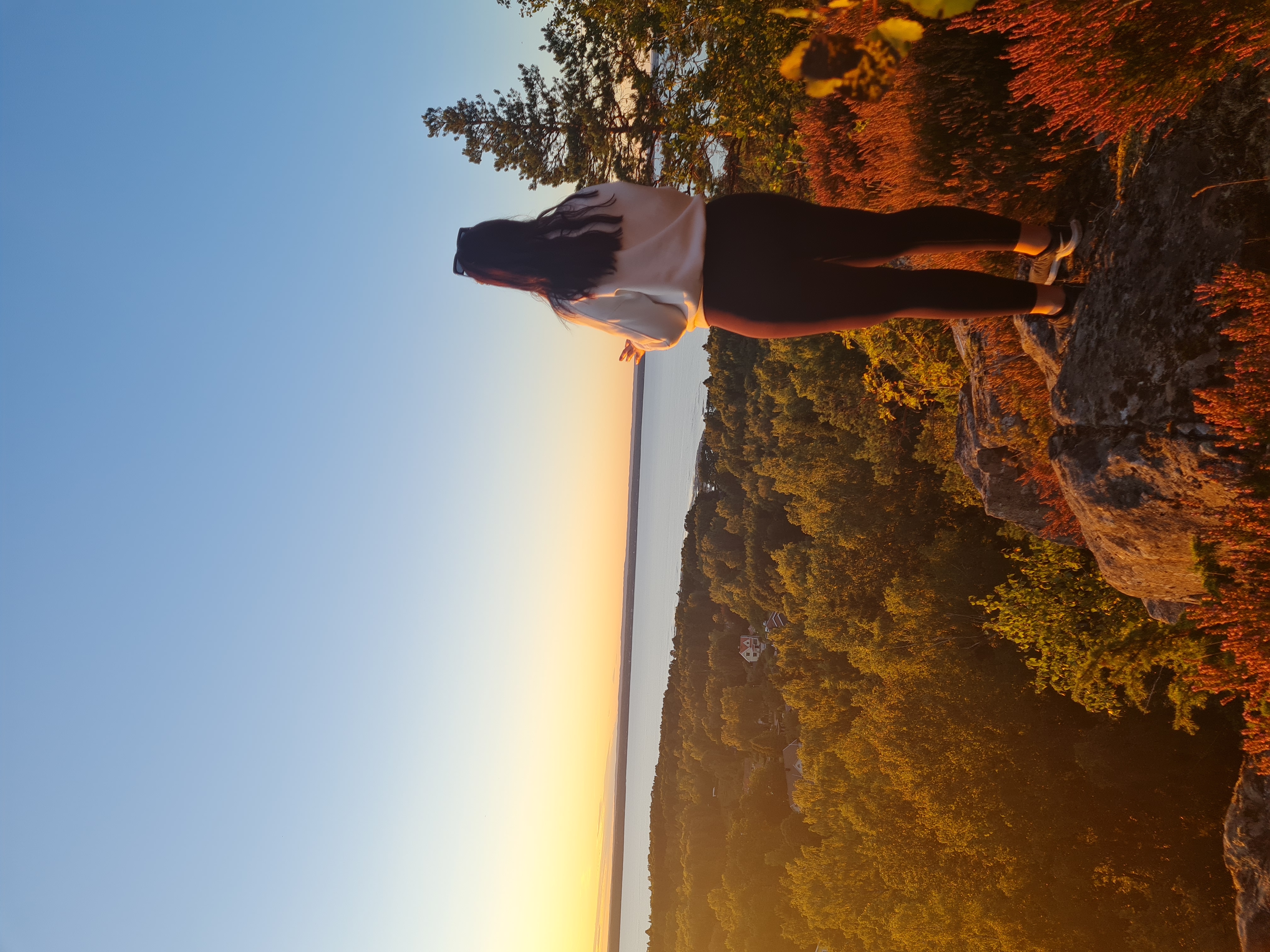 A person standing on a viewing platform and looking out over forests and Lake Vänern.