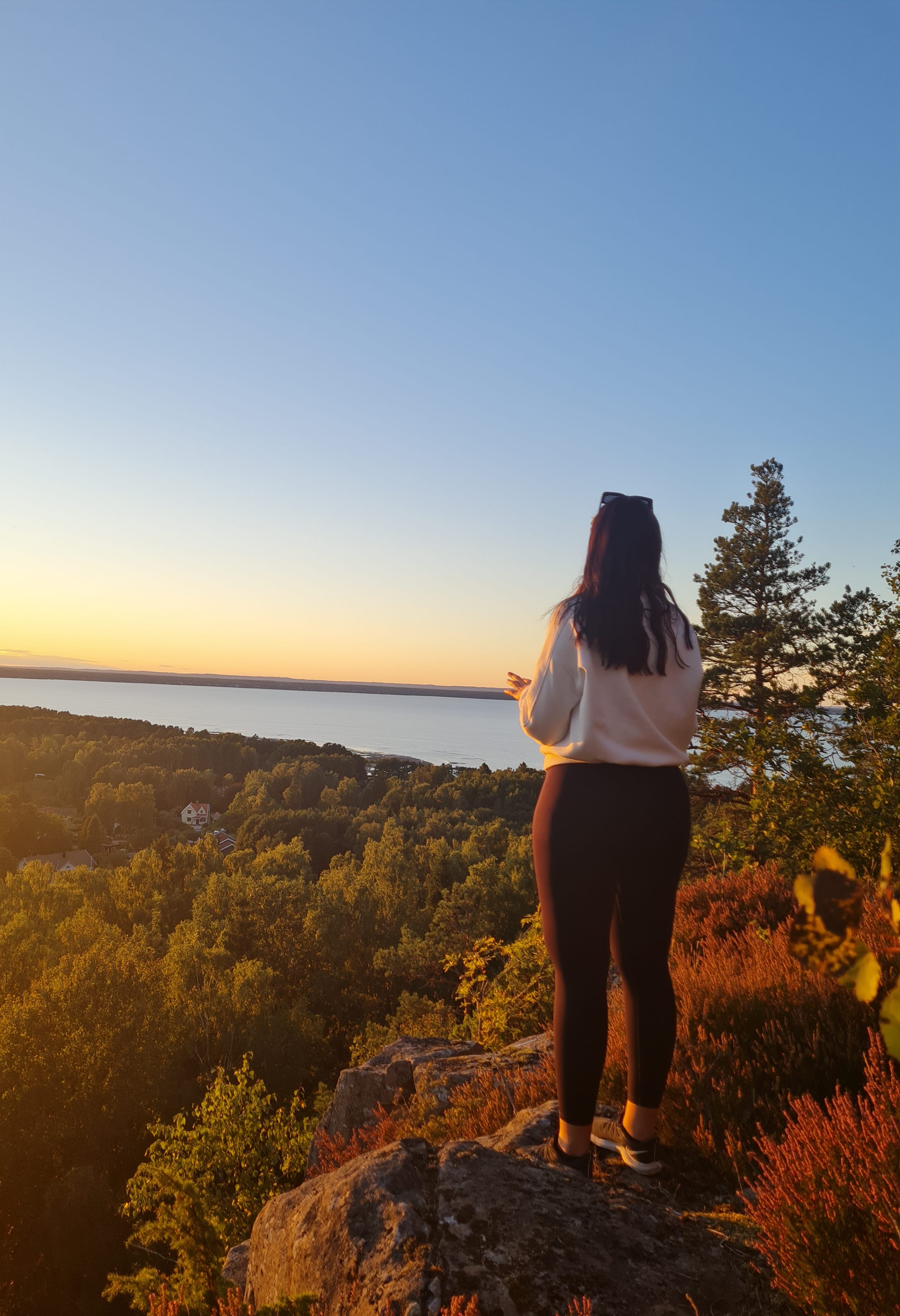 En person som står vid en utsiktsplats och ser ut över skog och Vänern.