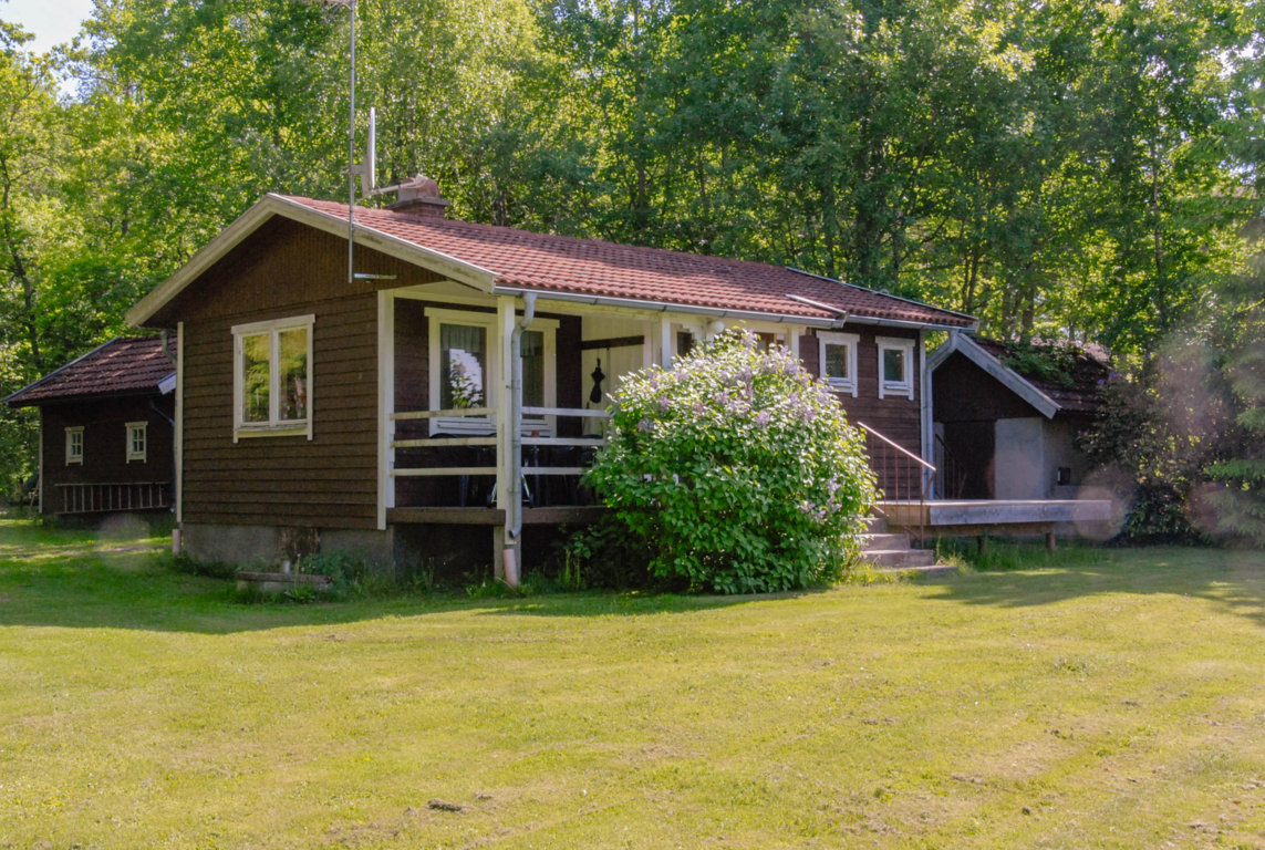 cottage among green forest and grass 