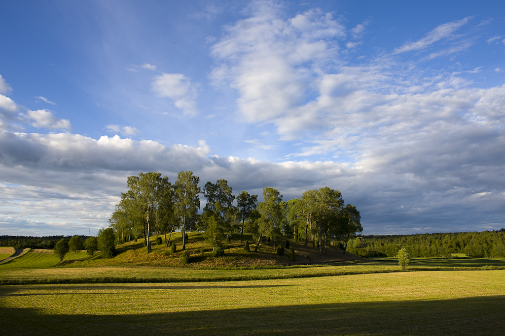 Knätte kullar