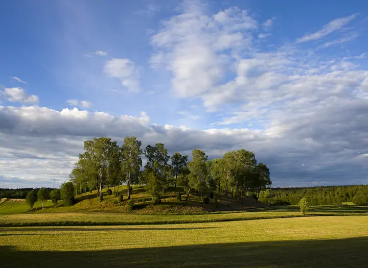 Knätte kullar naturreservat