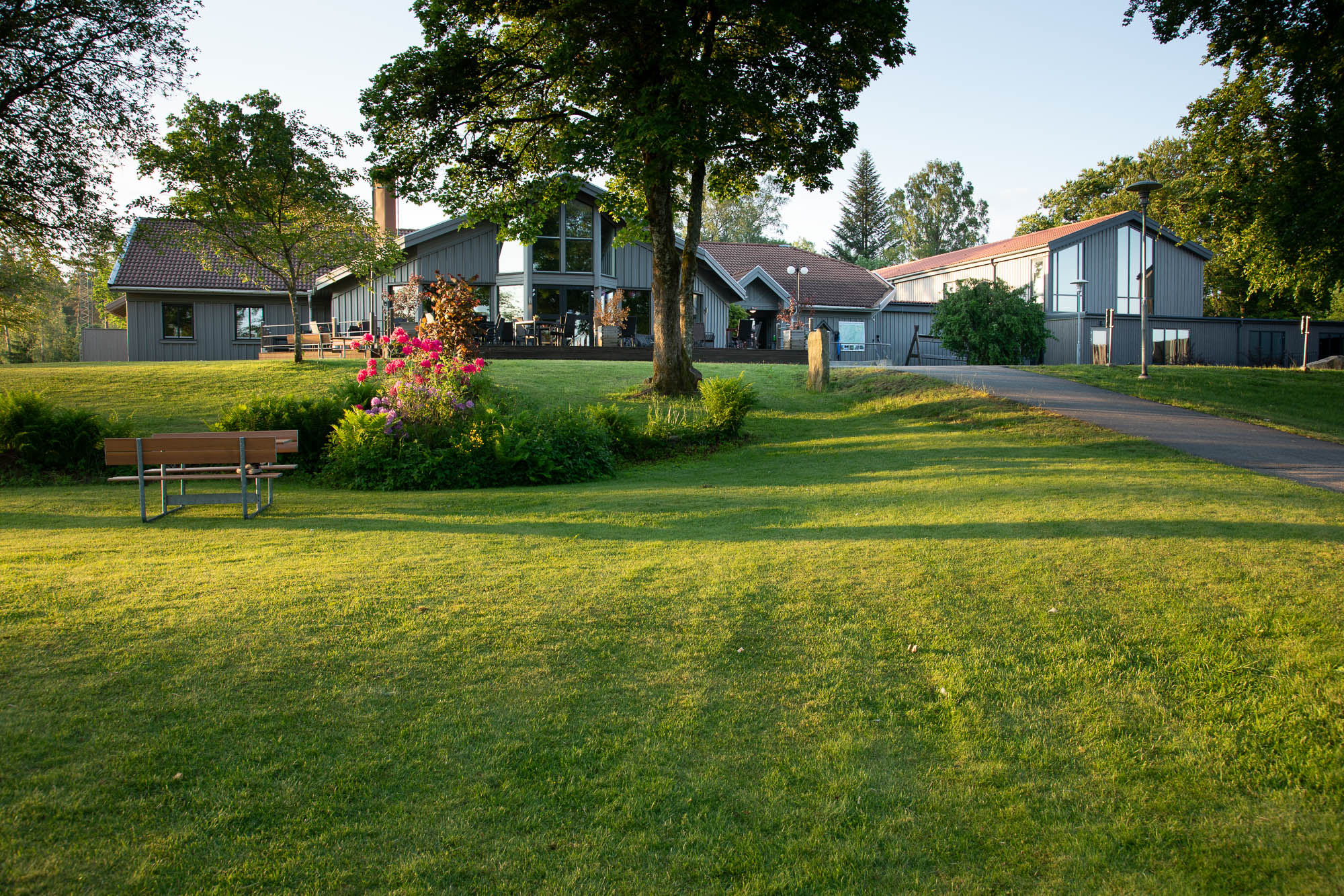 En gräsmatta med träd. Bakom träden finns ett hotell
