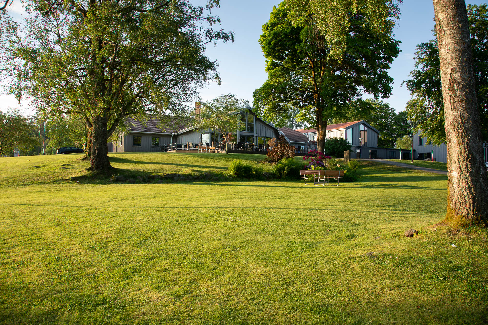 En gräsmatta med träd. Bakom träden finns ett hotell