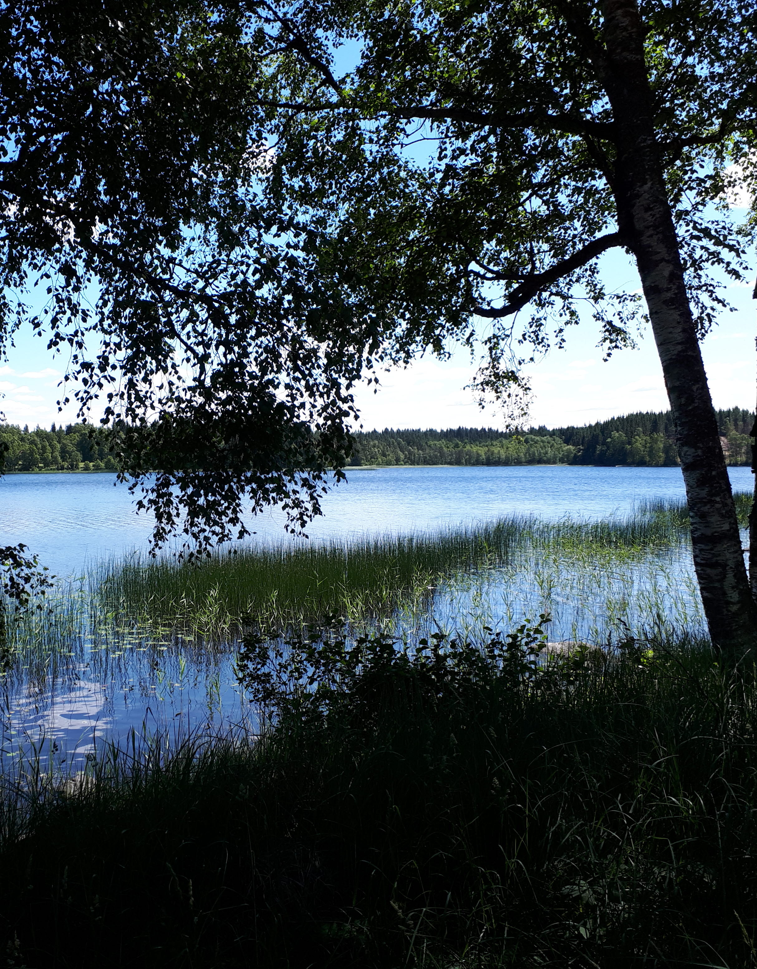 En sommarkväll vid en sjö längs Änglaleden.
