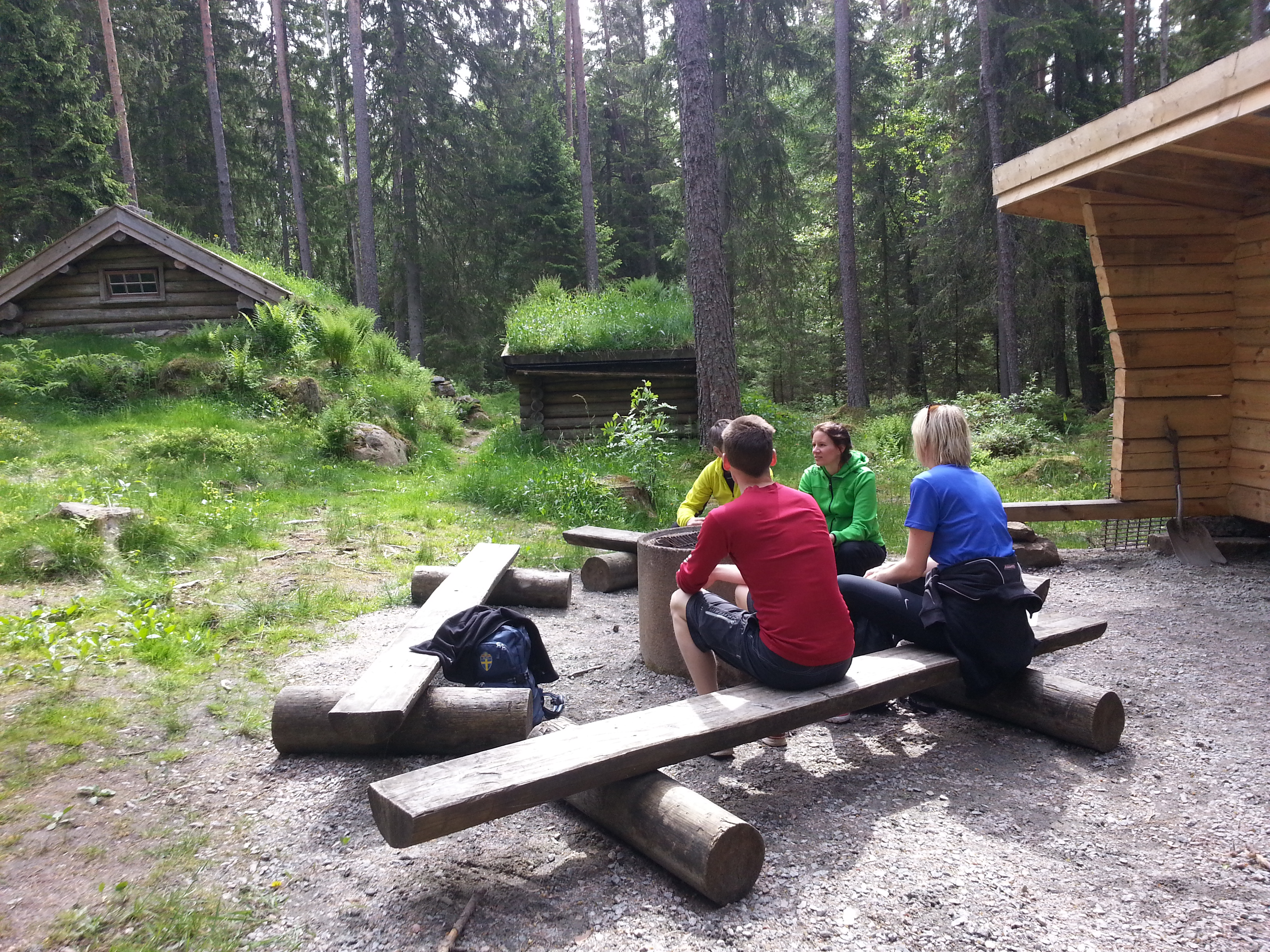 Gammal gräsbevuxen jordkula/stuga i naturen