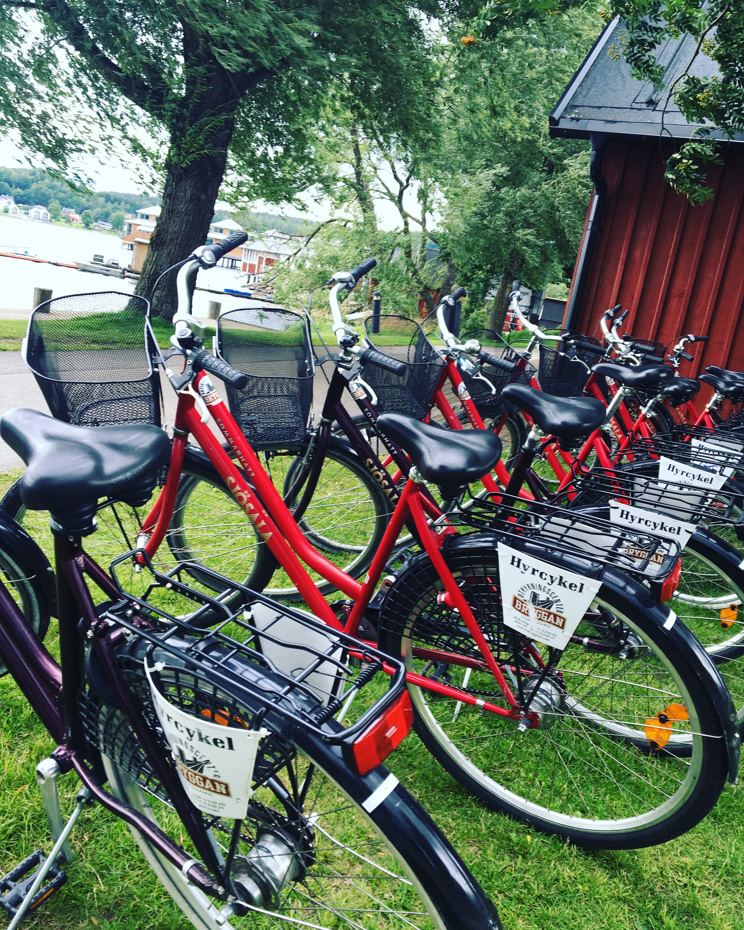 En rad med röda cyklar