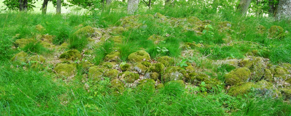 Gravfältet i Bjättlunda