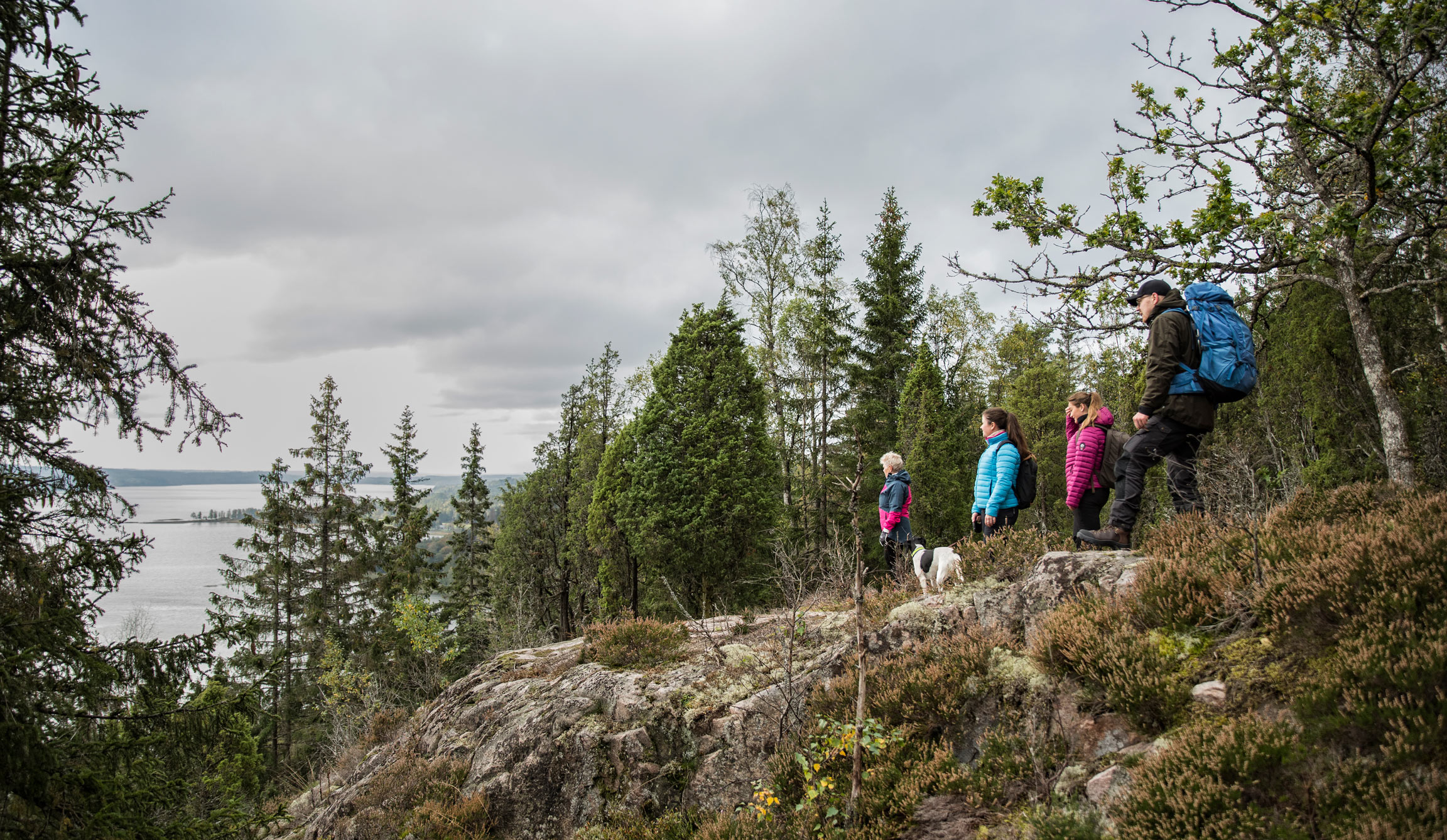 Några människor på en stenkulle med träd runtom
