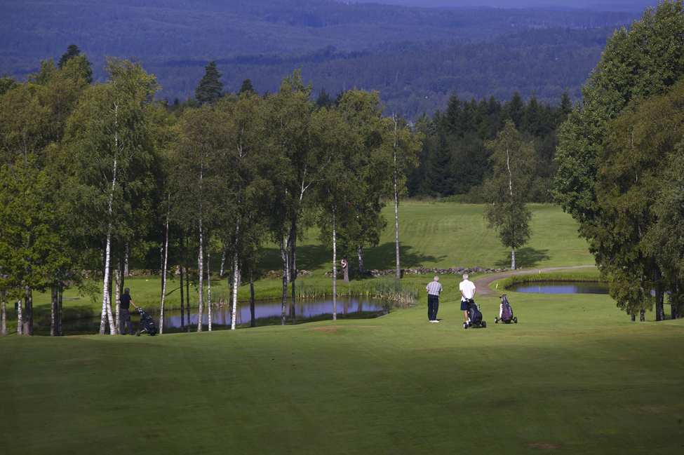 Några golfare på en golfbana