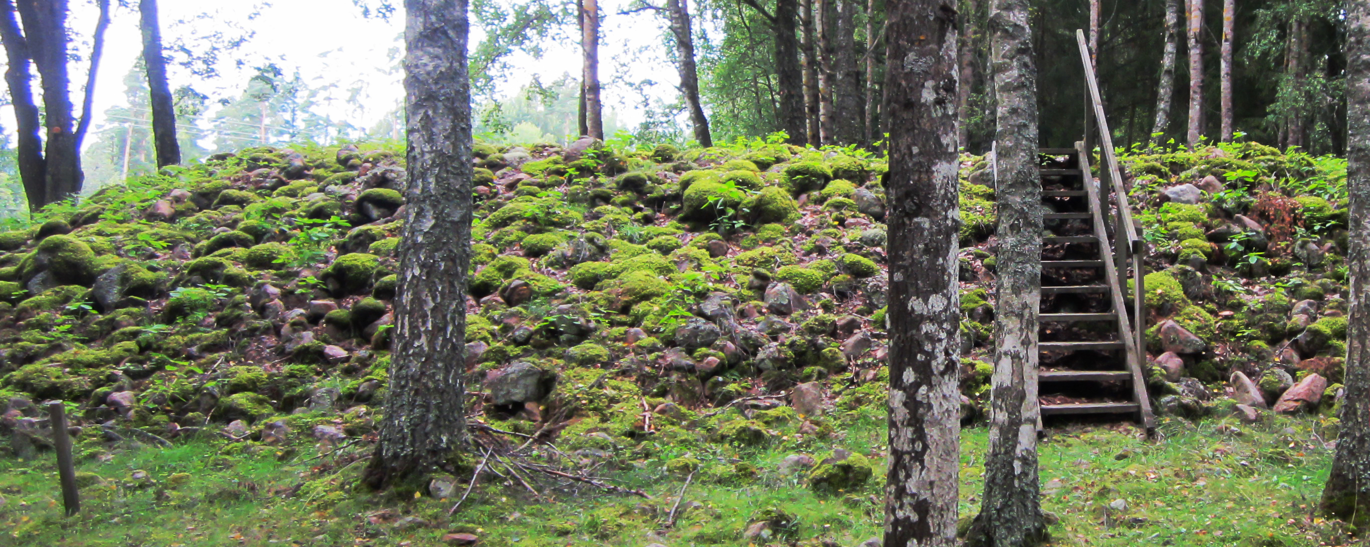 Bronsåldersrösen