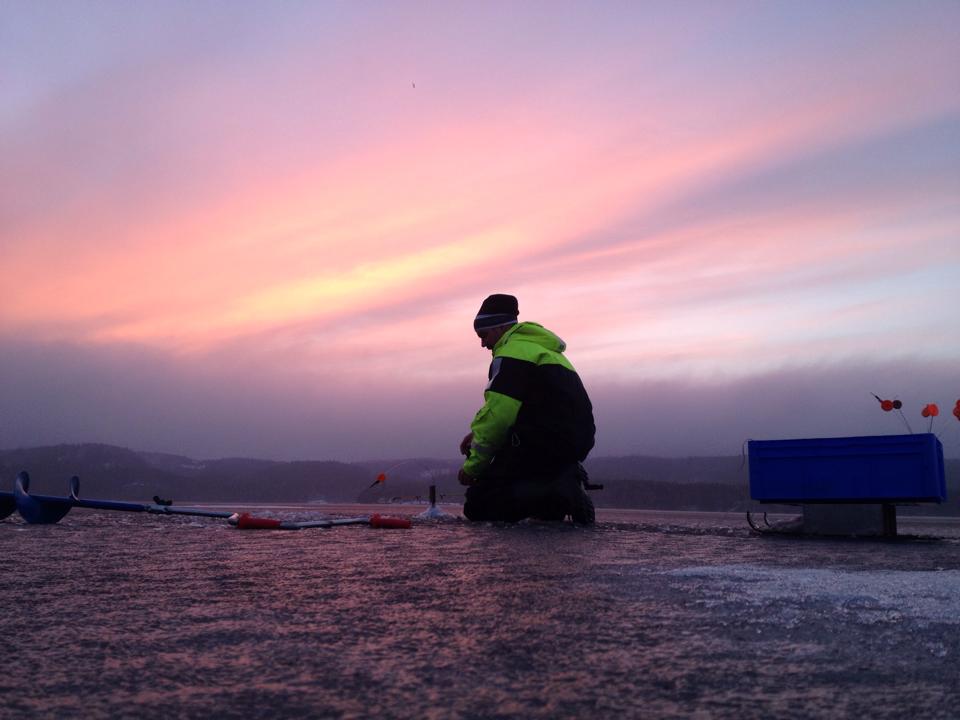 Ulricehamn erbjuder ett brett utbud av fiskar och fiskesjöar. Åsunden är en av de populäraste sjöarna. Totalt har vi 16 fiskevårdsområden och på flera av platserna finns möjlighet att hyra båt.