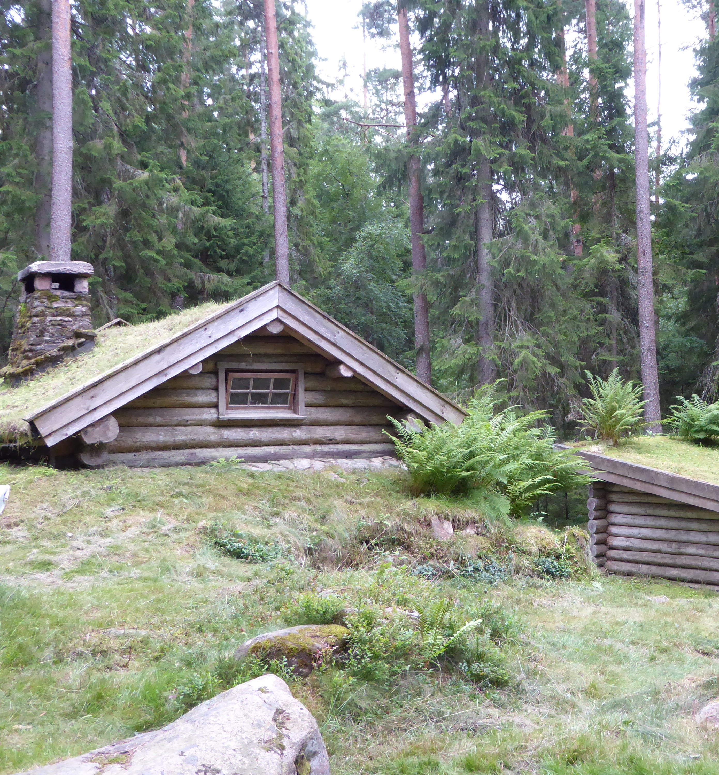 Gammal gräsbevuxen jordkula/stuga i naturen