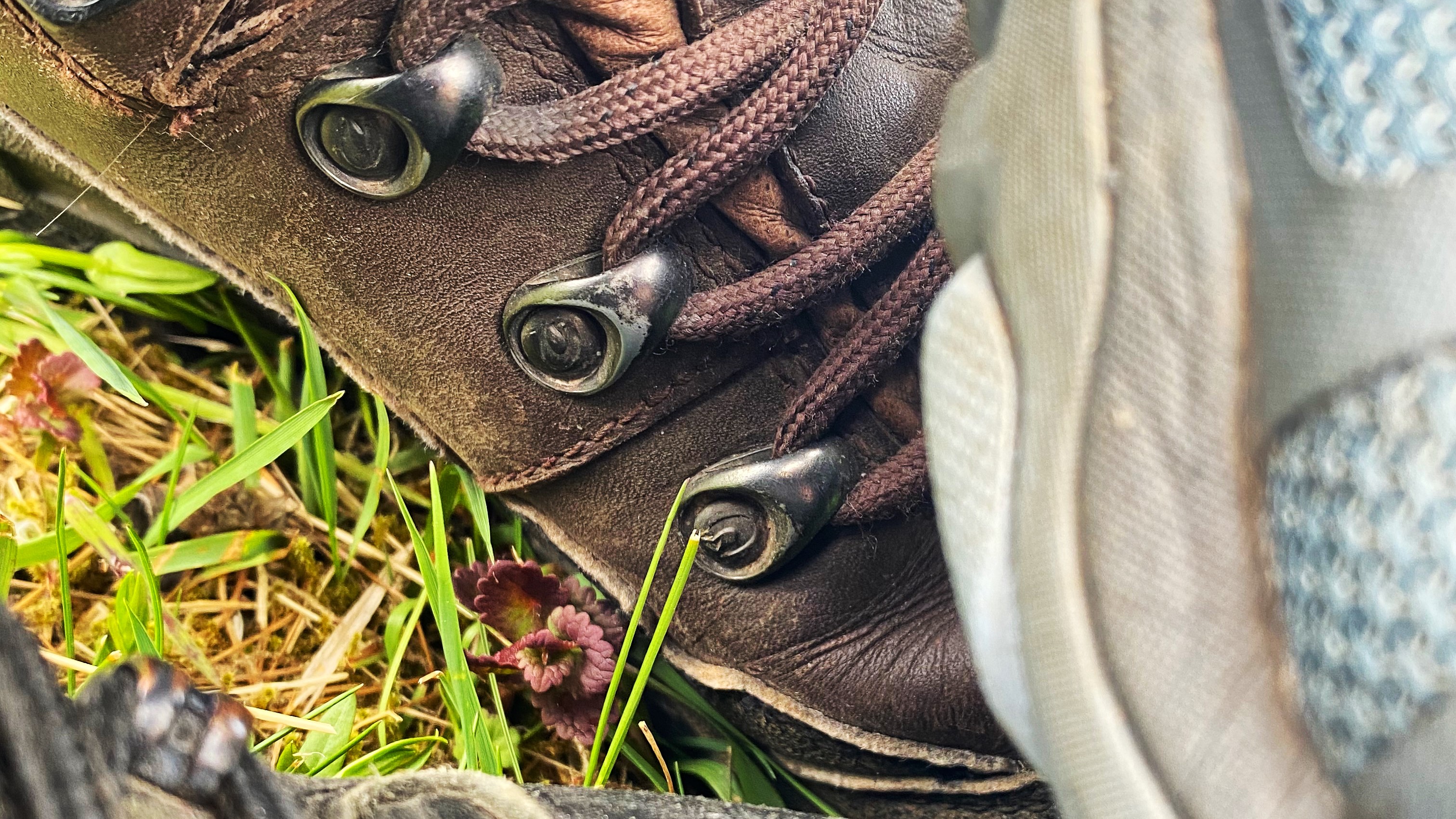 Det finns gott om olika sorters skor och kängor för vandring, vad passar dig?