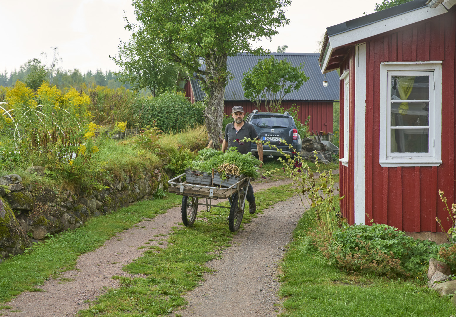 Person drar en vagn med grönsaker på en gård